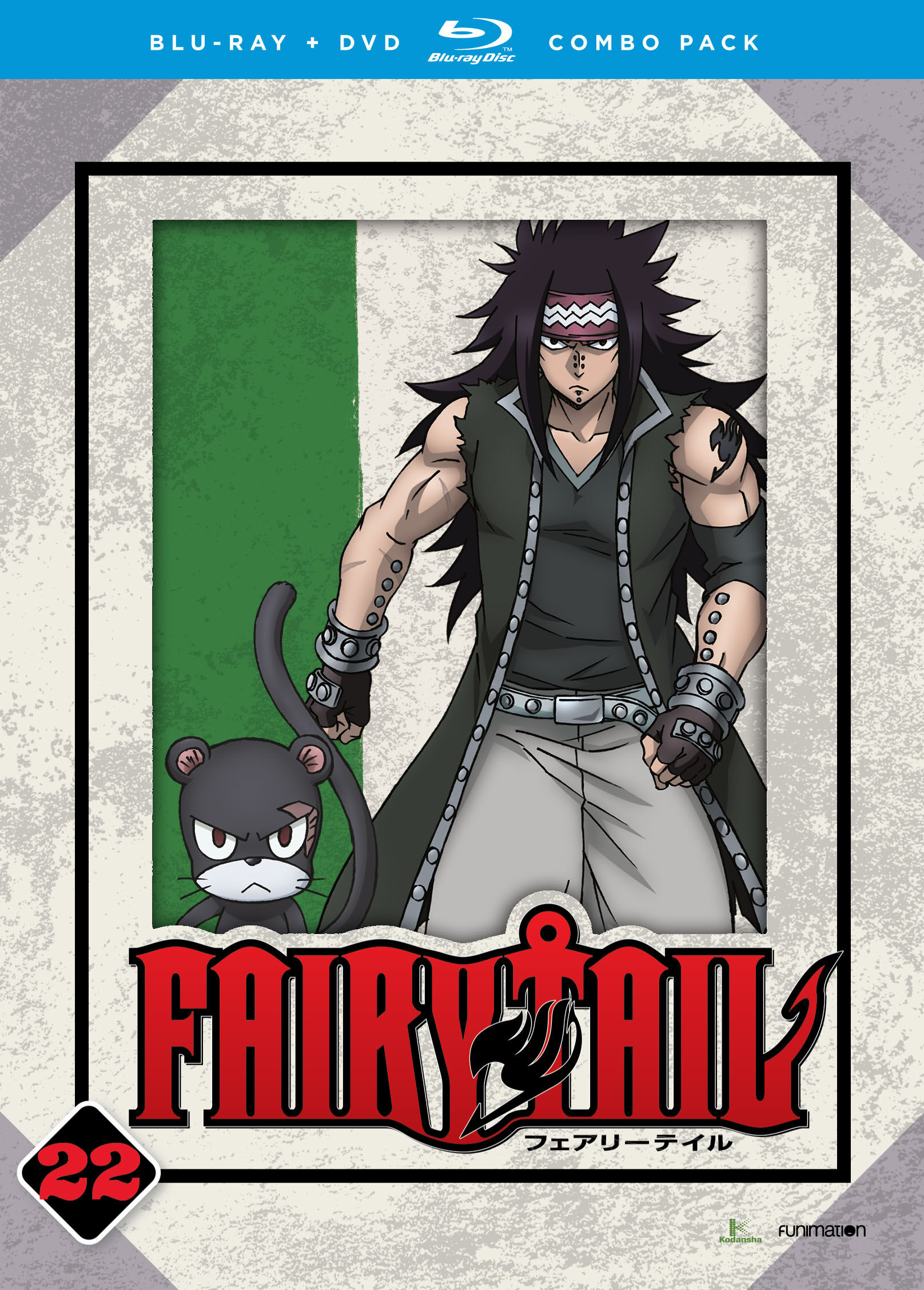Fairy Tail - Part Twenty Two - Blu-ray + DVD